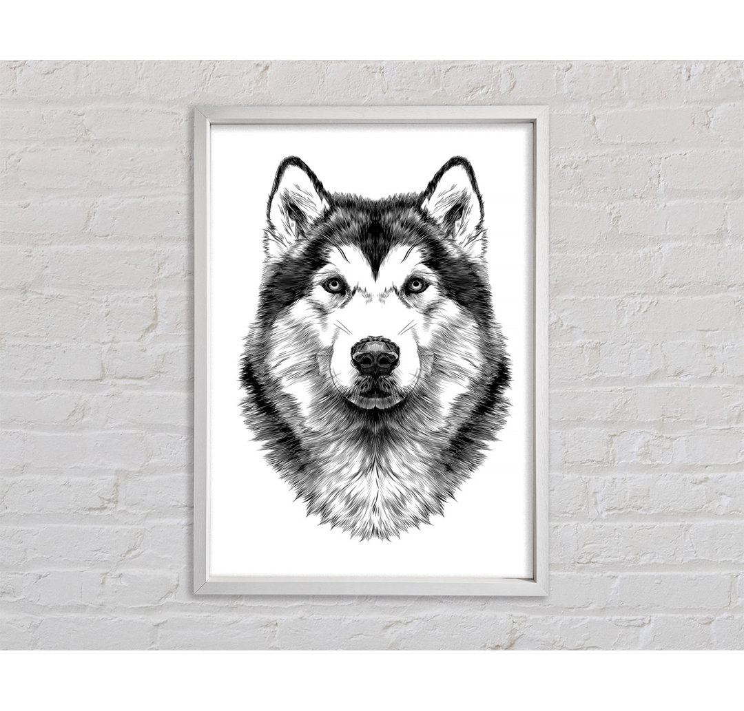 Husky Wolf - Einzelner Bilderrahmen Kunstdrucke auf Leinwand