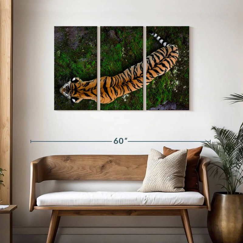 Brampt Tiger From Above, 28" H x 45" W