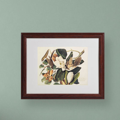 « black-billed coucou » par john james audubon, reproduction d’art encadrée
