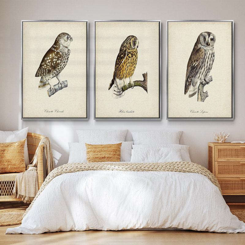 «French Owls I», ensemble de 3 toiles encadrées, H 27 po x l 54 po, Encadrement argenté