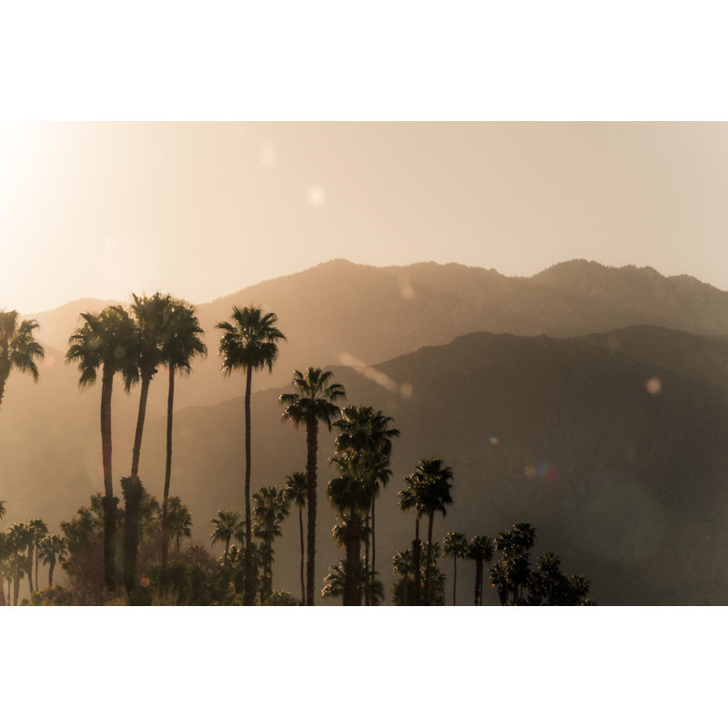 Palm Springs par Wildroze, H 12 po x l 18 po