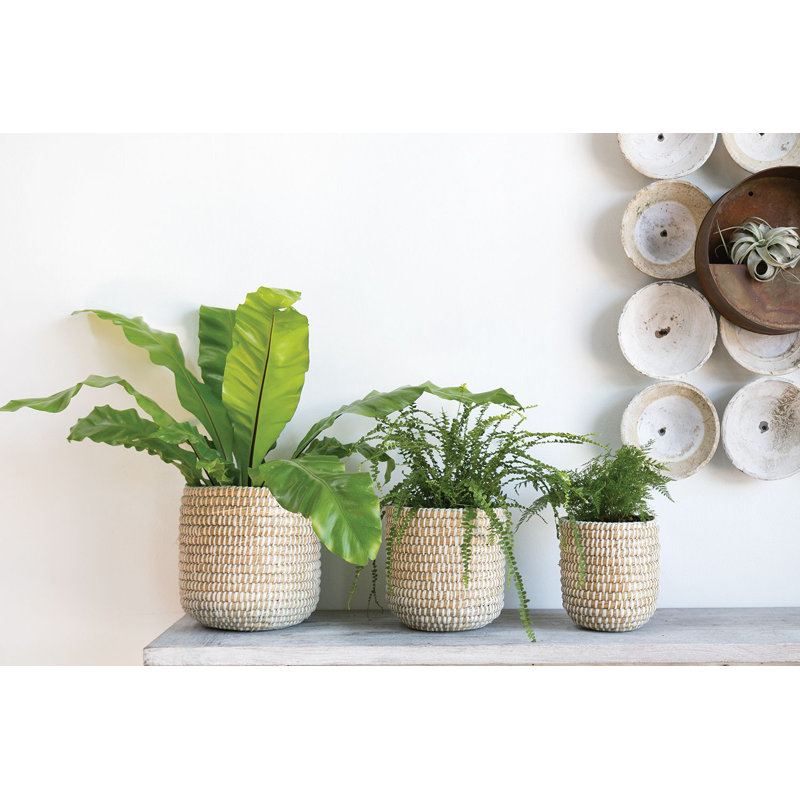 Abbs Pot Planter, 9.75" H x 10" W x 10" D