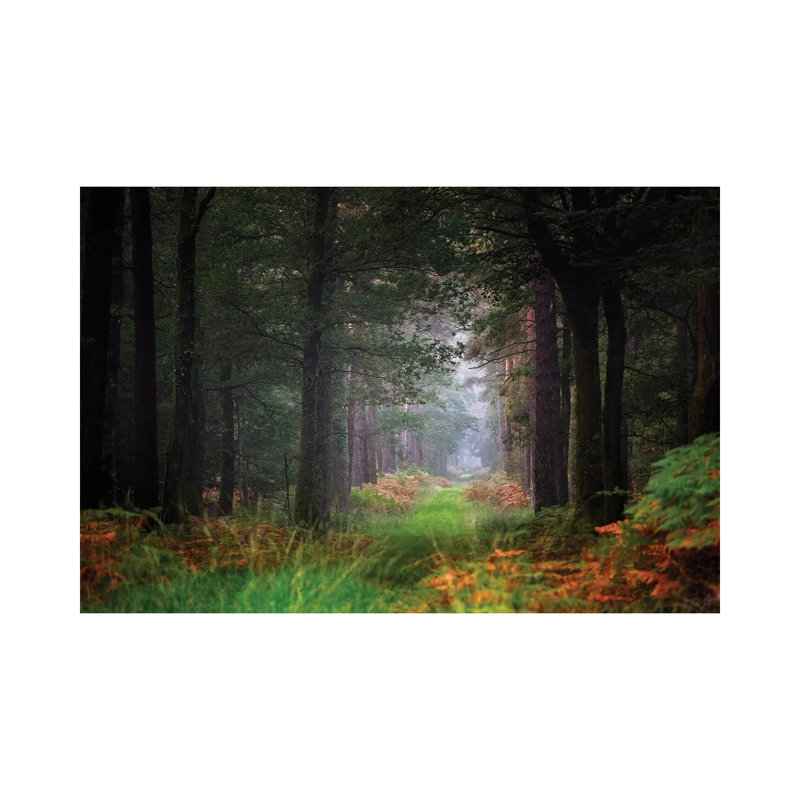 Entering The Forest by Philippe Manguin - Wrapped Canvas Painting