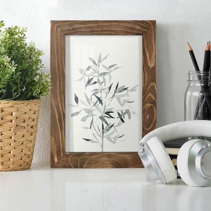 «Chereen Delicate Sage Botanical VI», reproduction d'un seul cadre, H 7 po x l 5 po x P 1 po, Noyer
