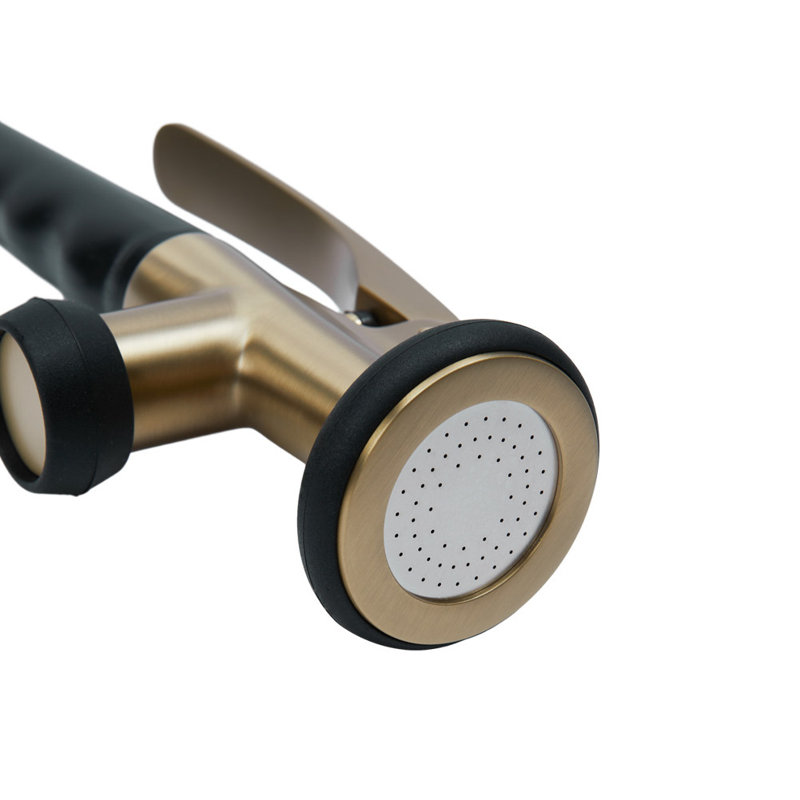 Belfry Kitchen Burhill Pull Out Kitchen Faucet, Goid