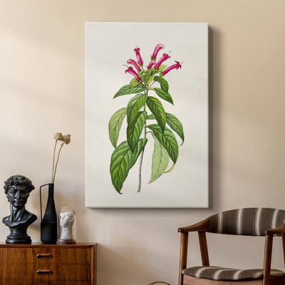 Jolies roses botaniques - galerie Cavas personnalisée