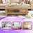 Double Layer MDF Coffee Table, Rectangular Design-1209106996