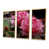 Cadre flottant doré
