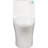 1000 Gram Map Flushing Score 1.1/1.60 One Piece Toilet, Elongated Comfort Height, Soft Closing Seat, Glossy White, Water Floor Mount White High Score, Water, Quick Installation