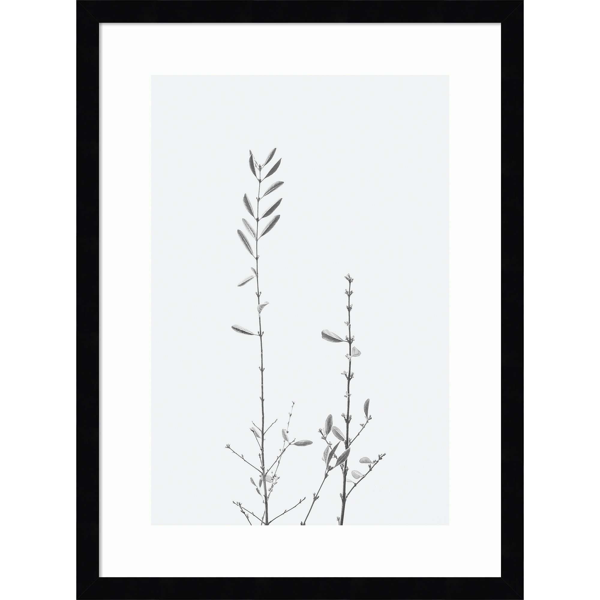 Retro Tennessee Botanical Print II by Stephanie Klatt, 21.62" H x 16.25" W x 0.88" D