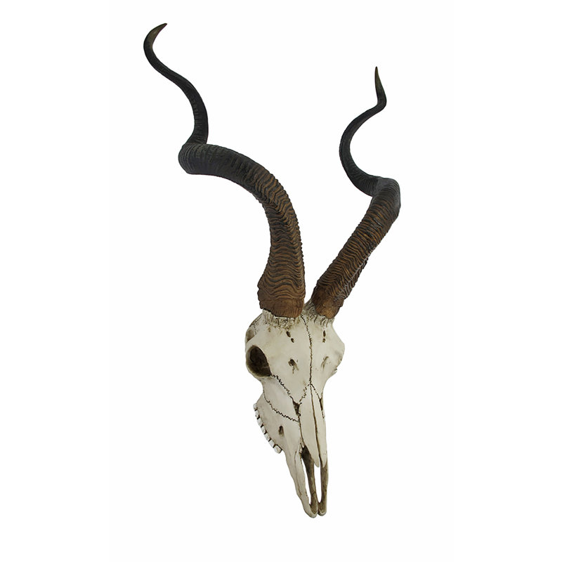 Décoration murale en forme de crâne d'antilope africain Kudu