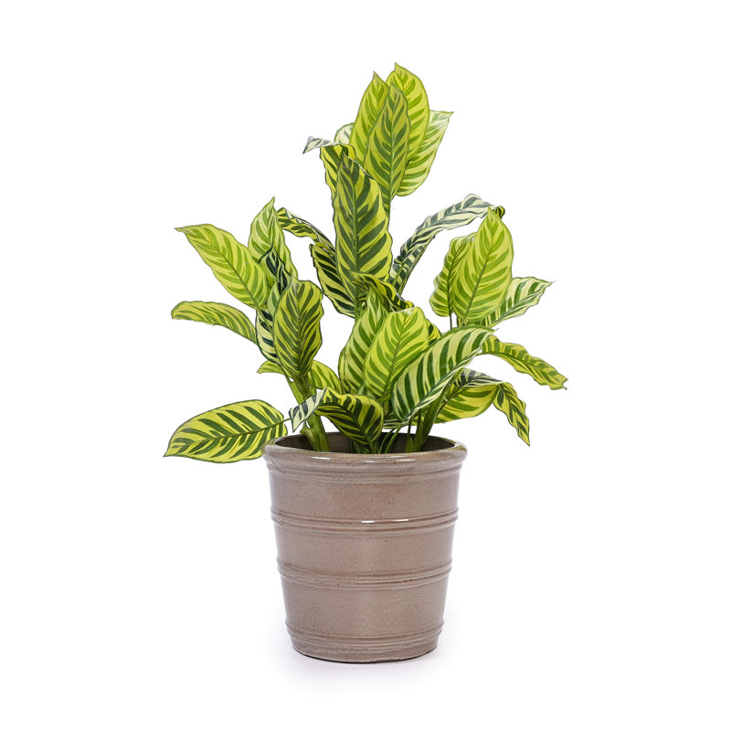 Antique Yellow, Ceramic Flowerpot Of 3, All-Weather Performance, Functional, Indoor And Outdoor Greenery 3 Yellow Flowerpots - Use, Reinforced Construction, With Drainage For Display