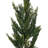 Primrue 30" Green Cedar Fern Artificial Spray 2/Bag. Features green cedar foliage.