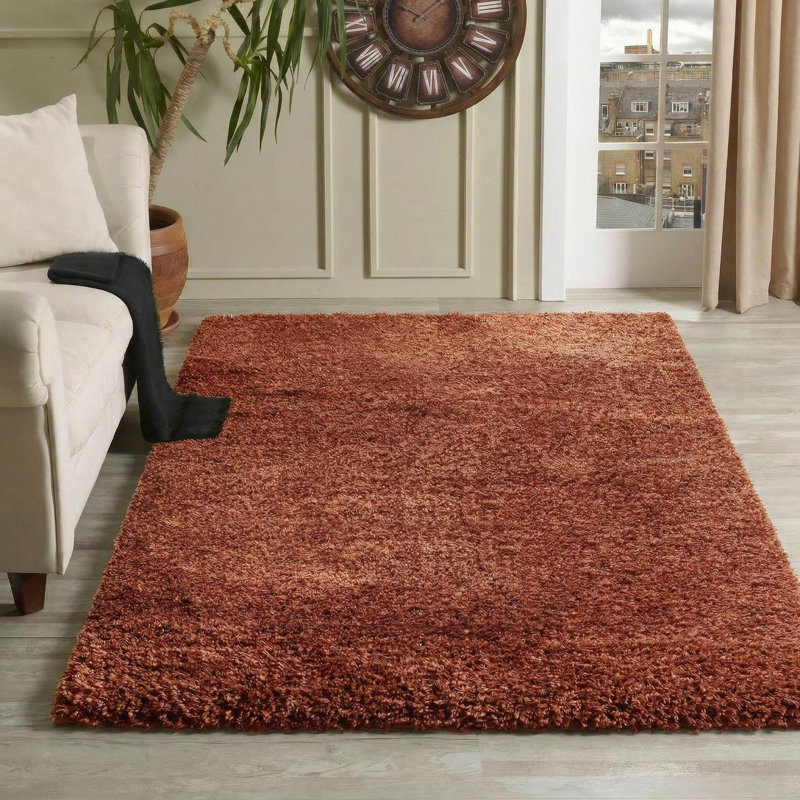 Esterly Solid Colour Shag Area Rug, Rectangle 120 x 170cm