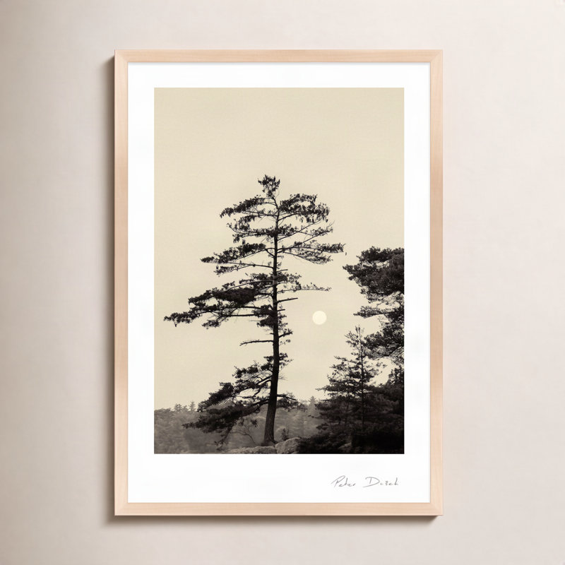 Serenity Print by Peter Dušek, 50" H x 35" W x 1.25" D, Brown