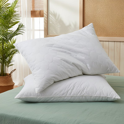 Oreiller ferme en mélange de duvet