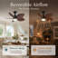Ventilateur de plafond de 37 po, pales en ABS avec cadre en métal, télécommande, moteur à courant continu réversible à 6 vitesses, utilisation intérieure et extérieure, ventilateur de plafond noir, ventilateur de plafond à feuilles de palmier, style Mid-Century moderne