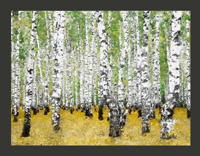 In Birch Grove... 1.93m x 250cm Wallpaper, 300 cm x 231 cm