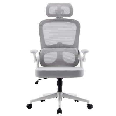 Ergonomic Mesh Office Chair with Adjustable Lumbar Support and Padded Armrests, for 5