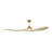 Maverick Smart 60 LED Indoor Ceiling Fan with Threaded Downrod, blades and Handheld Remote-350651848-350651846