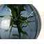 Damaiya Handmade Glass Table Vase-1888907127