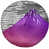 Pink/Purple selected