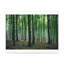 No Frame Print on Canvas