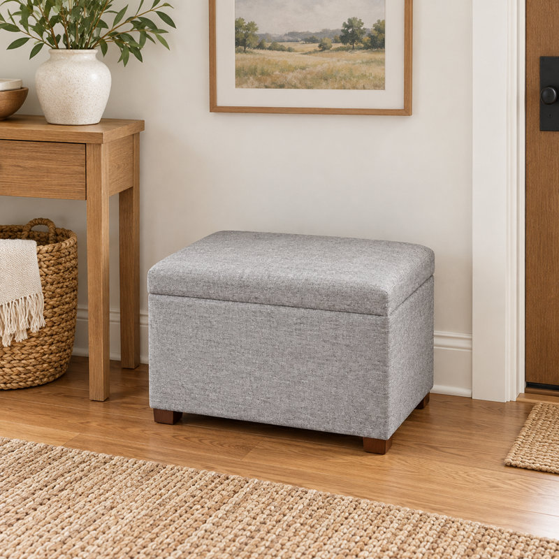 Banc de rangement avec repose-pieds 24 po, Gris