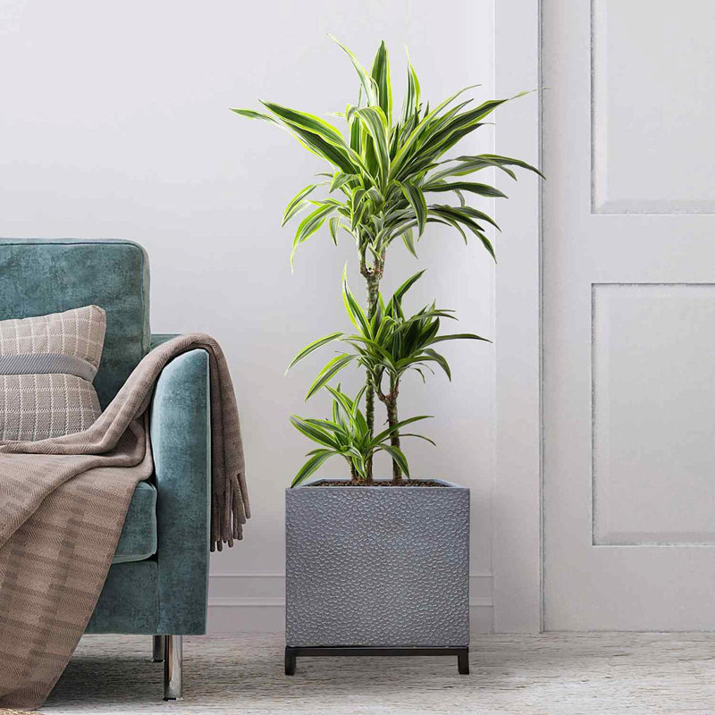 Indoor Square Planter, Indoor Plant Pot Stand for Indoor Plants, Slate Effect Square Plant Pot, Flower Pot on Metal Stand