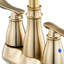 Double Handle Bathroom Sink Faucet with Drainer-63530440