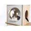 Arbre à chat à niveaux multiples 54 po Anadi, arbre à chat pour chat d'intérieur, maisonnette pour chat Anadi