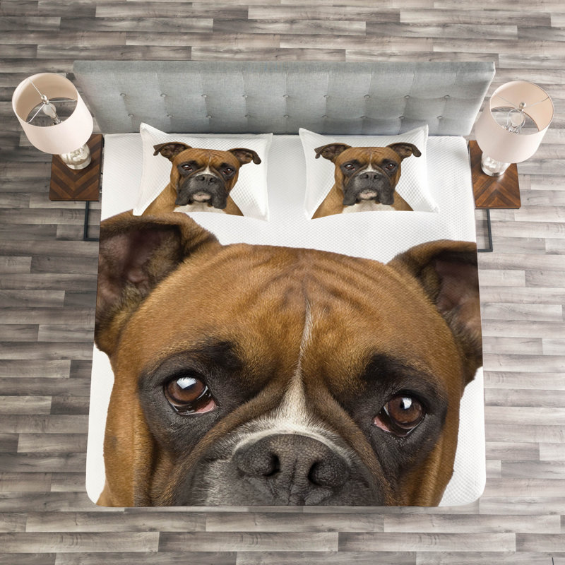 Wonderlin 264 TC Duvet Cover Set
