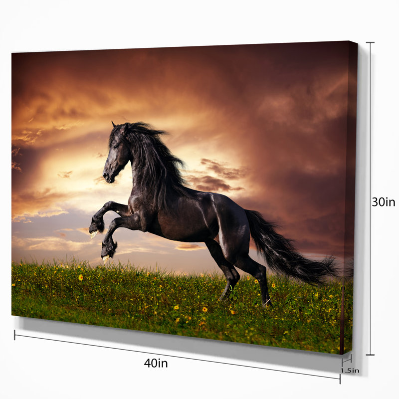 « black friesian cheval gallop », impression sur toile tendue, H 30 po x l 40 po