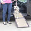 Mini rampe pour animaux 42 "Portia