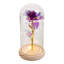 Cloche Or Water Globe-1222121393
