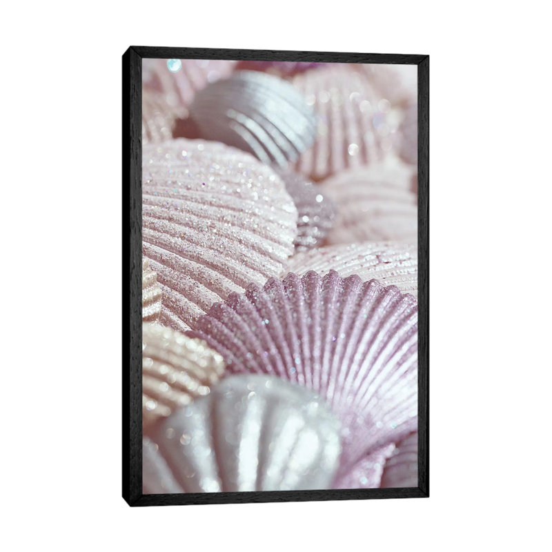 Shells And Glitter II by Monika Strigel - Print on Canvas, 66.04cm H x 45.72cm W x 3.81cm D, Black Framed