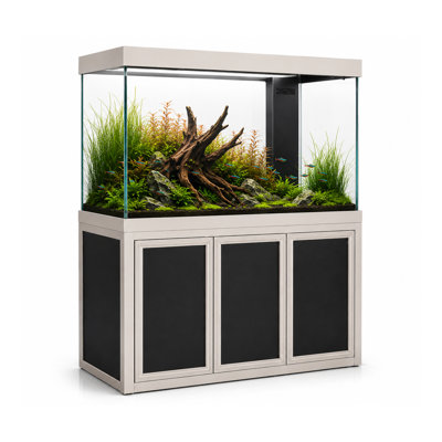 Aquarium rectangulaire Bina 235 gallons Bina