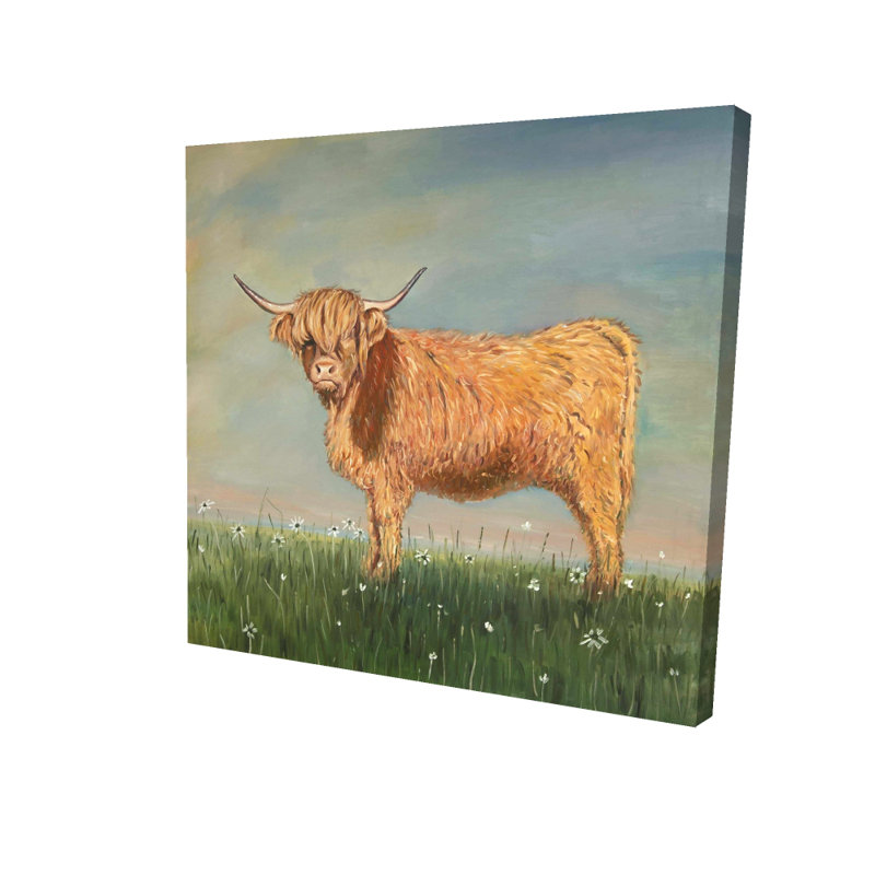 «Daisy the Highland Cow», toile rustique