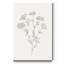 Reproduction d’art sur toile tendue « Wild feuillage sketch III »-2032466558
