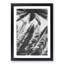 Palm Tree Shadows - Framed Print-55577936-55577941