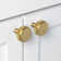 Kapri Collection 1 1/2" Diameter Round Knob Multipack