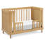 Marin with Cane 3-in-1 Convertible Crib-229856718