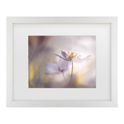 Bolog Ylva Sjogren Tones Matted Framed Art