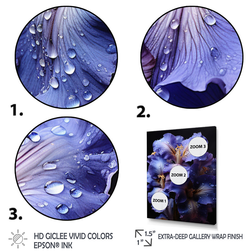 Chanax mauve majestueux iris noir II - reproduction sur toile, Cadre flottant noir, H 40 po x l 30 po x P 1,5 po