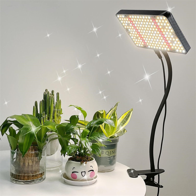Corrigan Studio Grow Light