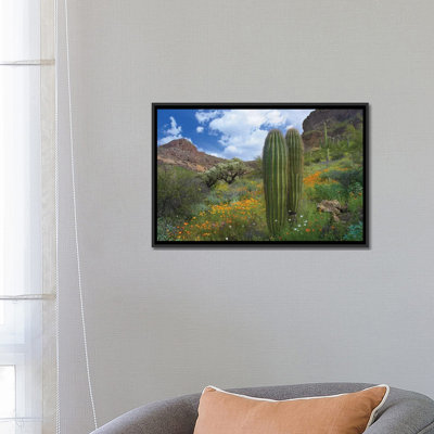 «Saguaro Amid Flowering Lupine» par Tim Fitzharris - reproduction de photo sur toile tendue
