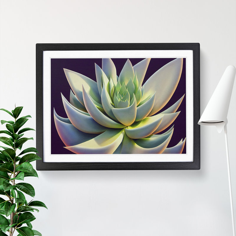 Ravishing Succulent Plant - Single Picture Frame Print, Black Framed, 46cm H x 64cm W x 2cm D