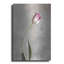 Fresh Tulips I de Debra Van Swearingen-654887554