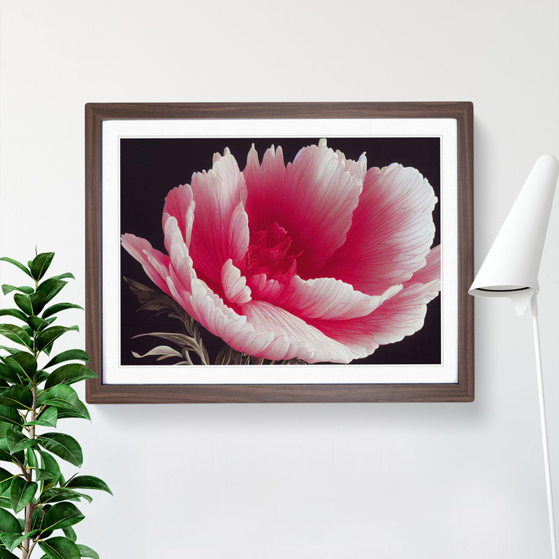 Admirable Carnation Flower 1 Piece Single Picture Frame Wall Art, 46cm H x 64cm W x 2cm D, Walnut