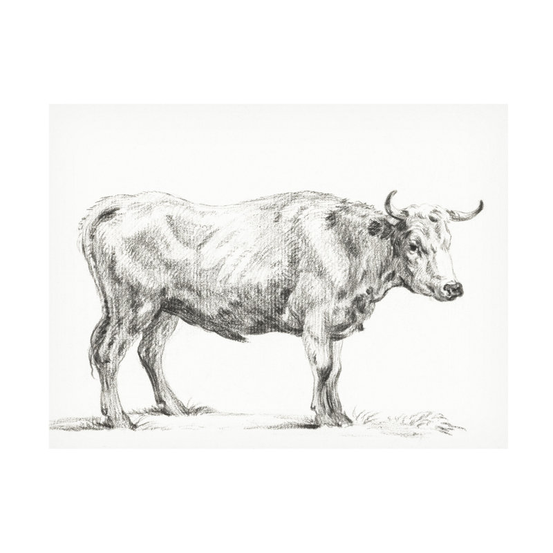 «Bernard's Bull Renderings II» sur, H 14 po x l 14 po